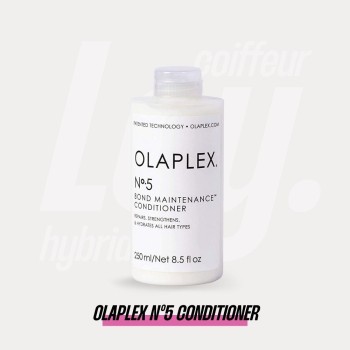 APRÈS-SHAMPOING N°5 250ML...